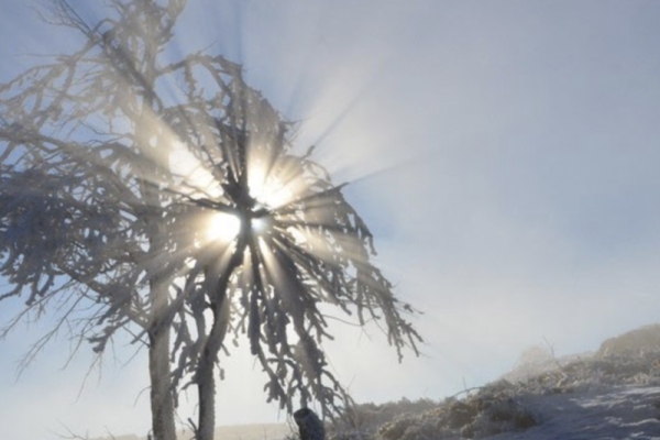 Journée raquettes privative au Rouge Gazon - Bonjour Fun