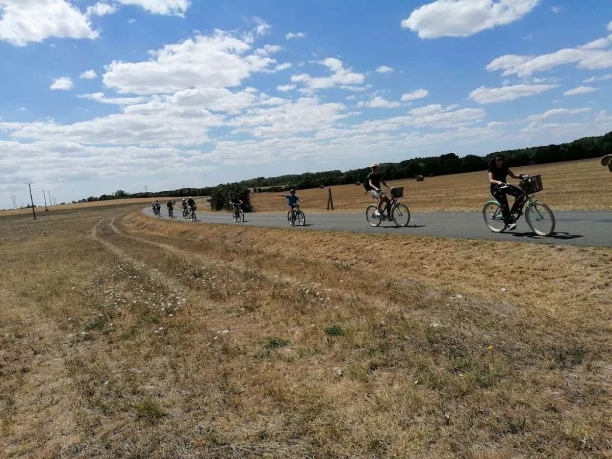 Excursion Vélo & Barque dans le Marais Poitevin - Bonjour Fun
