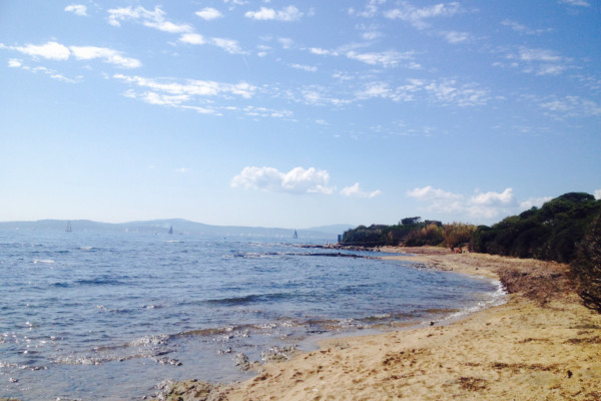 Juice & Yoga Paddle - Bonjour Fun