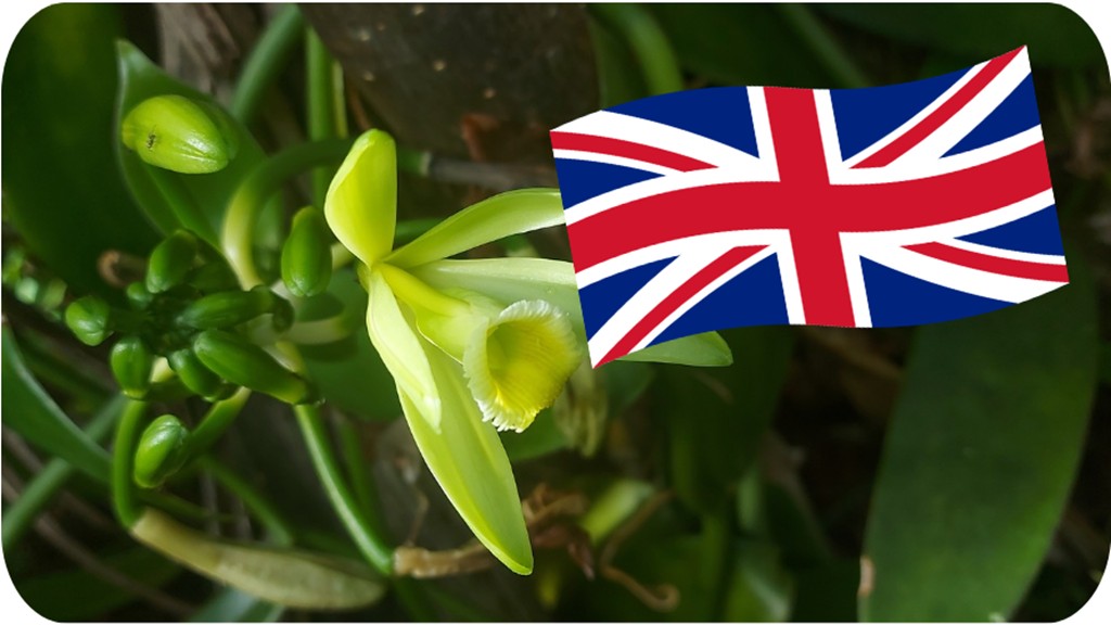 karukera Vanilline - Bonjour Fun