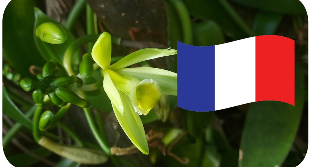 karukera Vanilline - Bonjour Fun