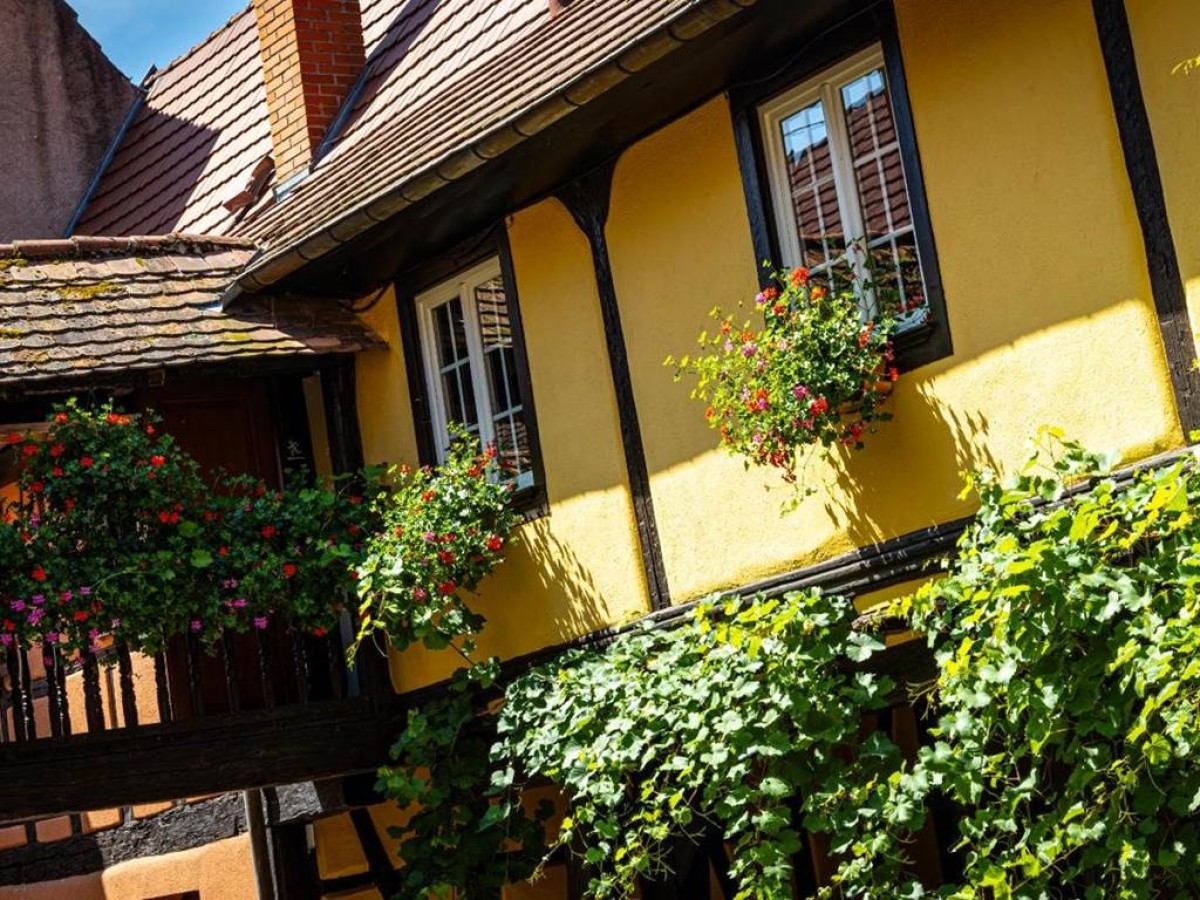 L'Abbaye d'Alspach - Bonjour Fun