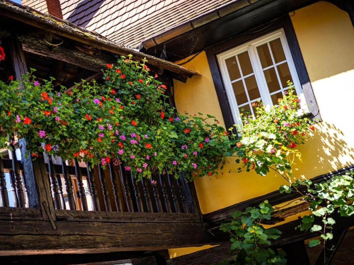 L'Abbaye d'Alspach - Bonjour Fun