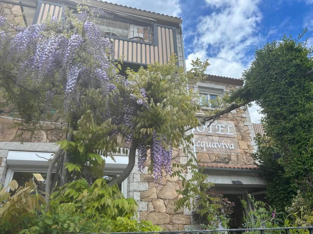 L'Acqua Viva - Bonjour Fun