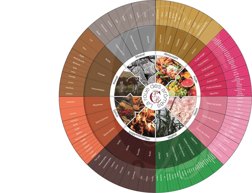 L' Atelier des sens : découverte sensorielle le  7 Mars 2026 - Bonjour Fun