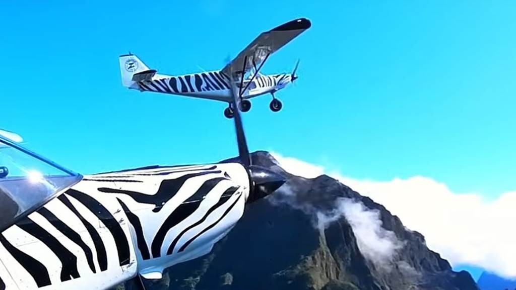 L'Avion Zèbre® - Bonjour Fun