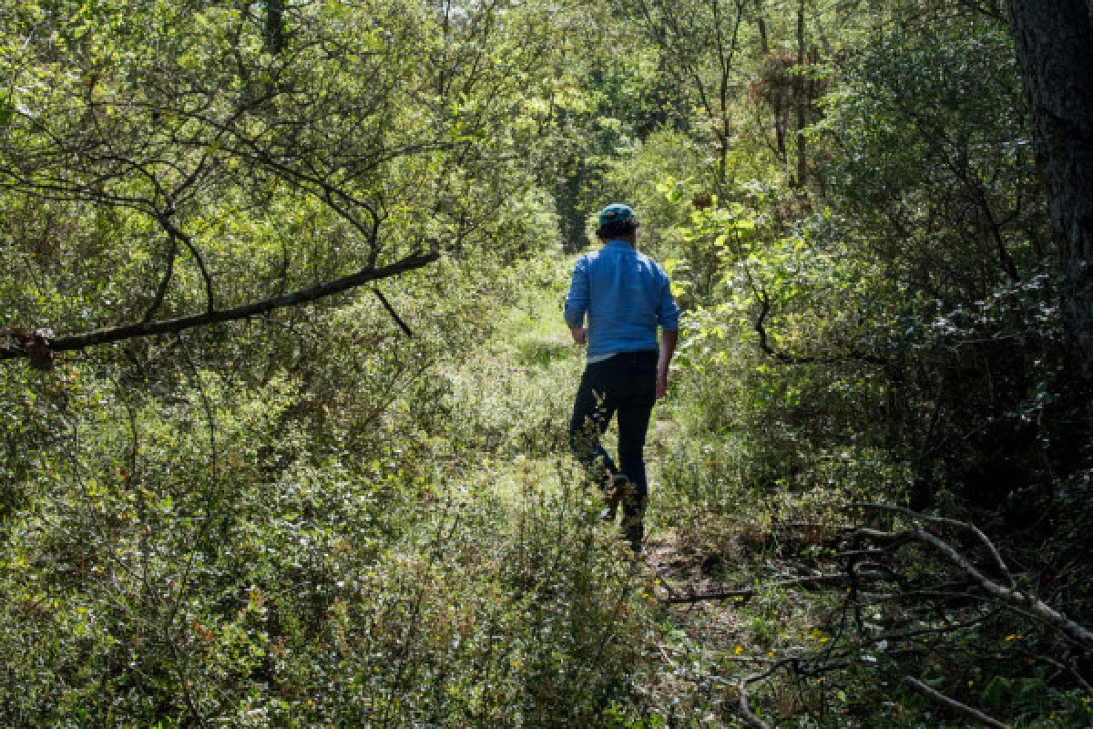 La balade biodiversité entre vigne et forêt - Bonjour Fun
