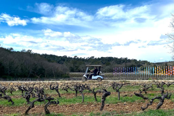 La balade en voiturette dans les vignes - Bonjour Fun
