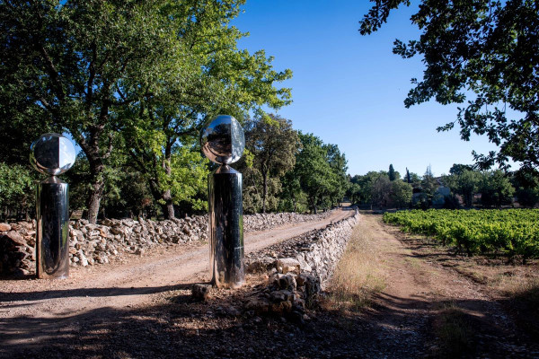 La balade en voiturette dans les vignes - Bonjour Fun