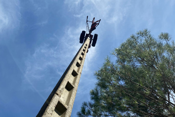 La balade en voiturette dans les vignes - Bonjour Fun