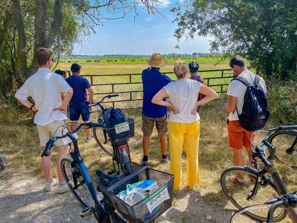 La Camargue secrète : Balade guidée en vélo électrique pour séminaire entreprise - Bonjour Fun