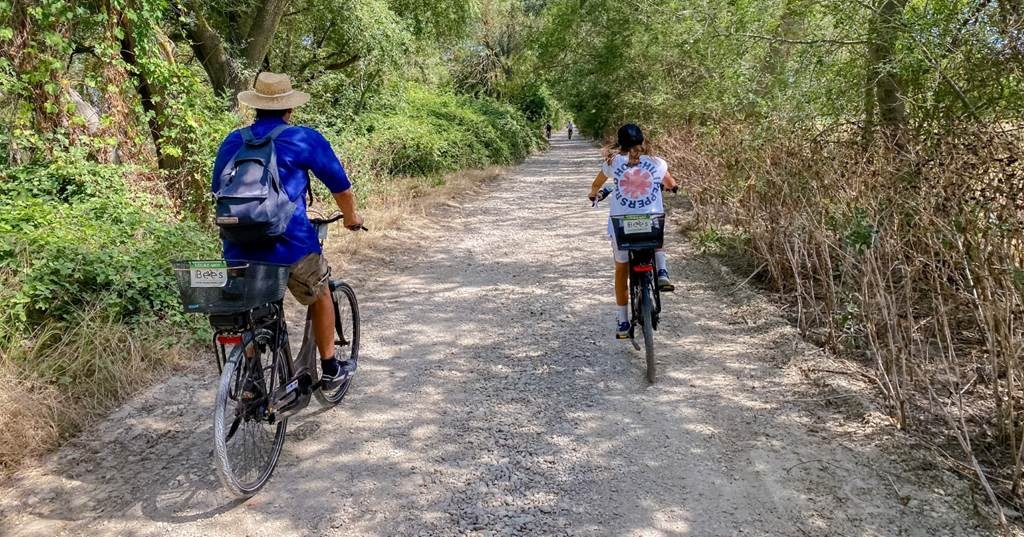 La Camargue secrète : Balade guidée en vélo électrique - Bonjour Fun