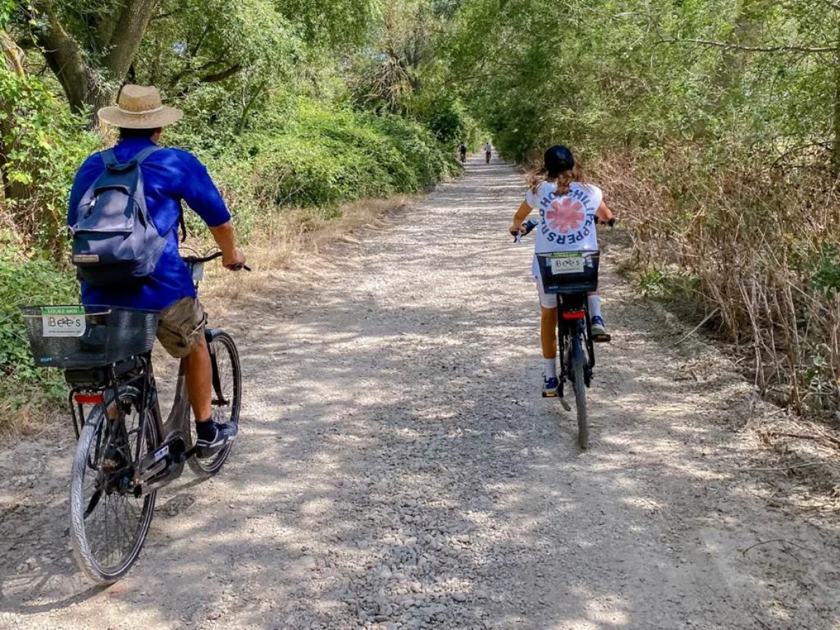 La Camargue secrète : Balade guidée en vélo électrique - Bonjour Fun