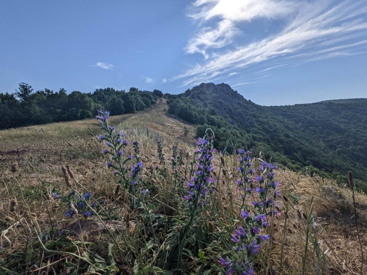 La montagne noire par Arfons - Les Cammazes en VTTAE - Bonjour Fun