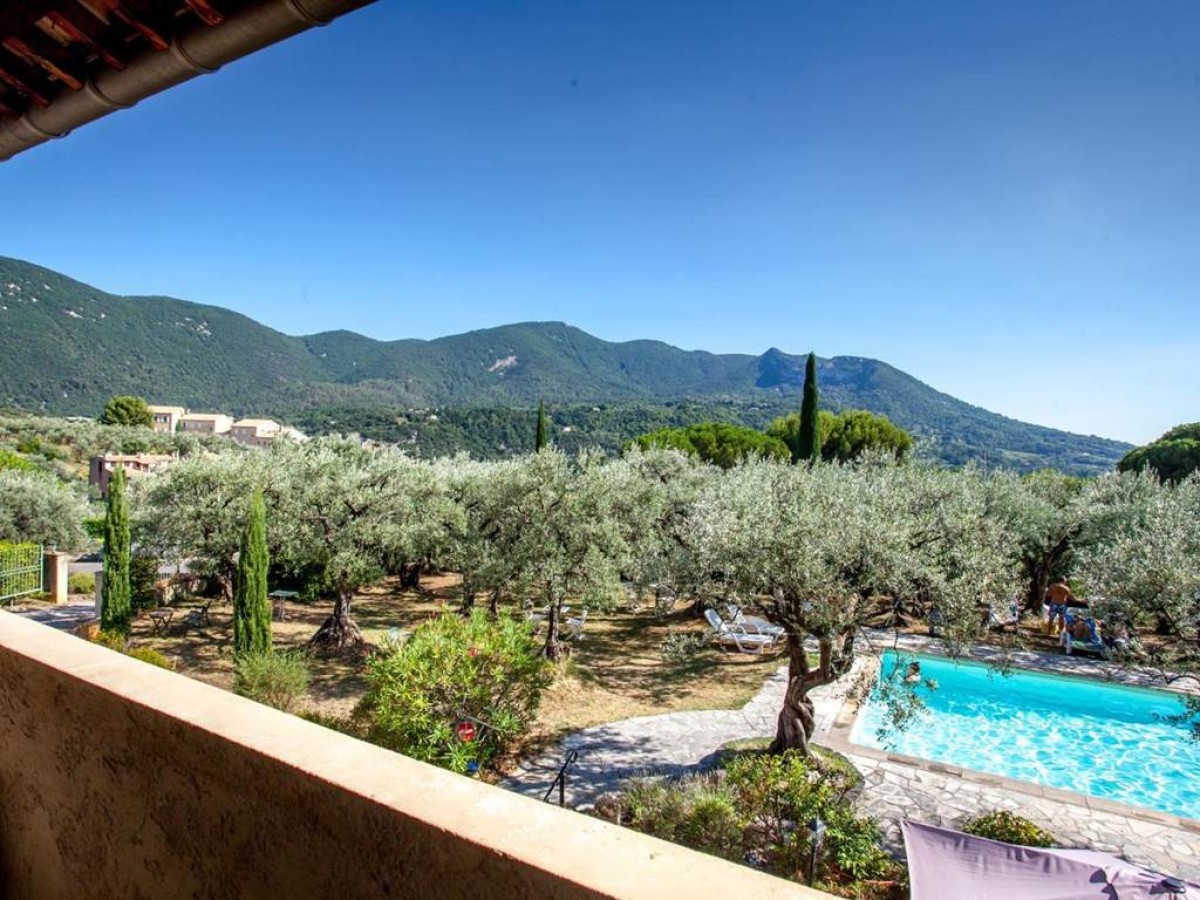 La Picholine en Provence - Bonjour Fun