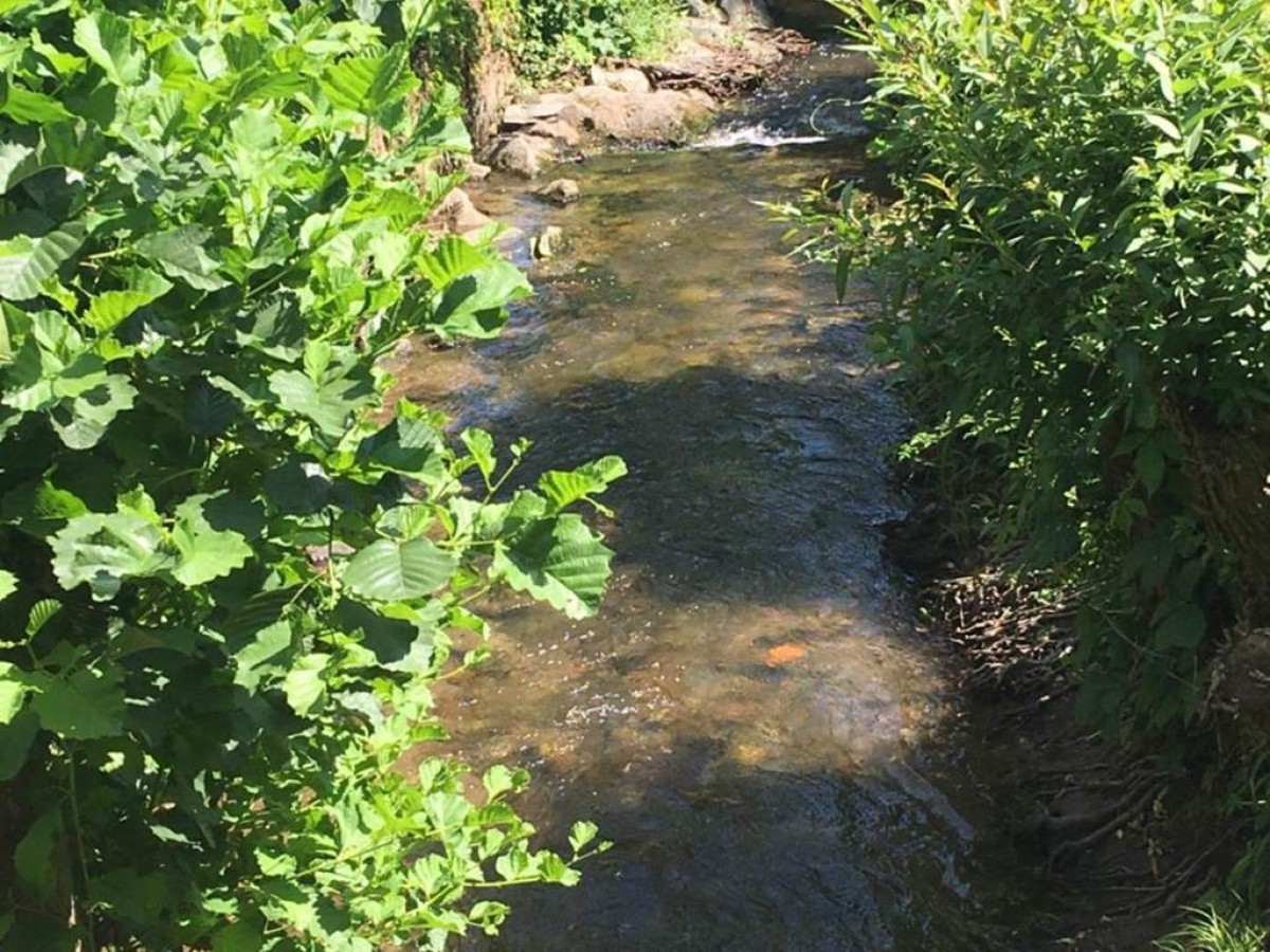 La Roseraie Biebler - Bonjour Fun