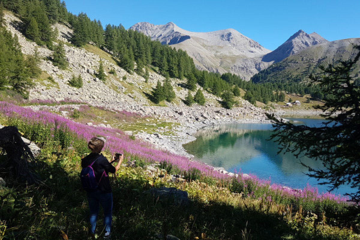 La Vie des marmottes dans le Mercantour - Bonjour Fun