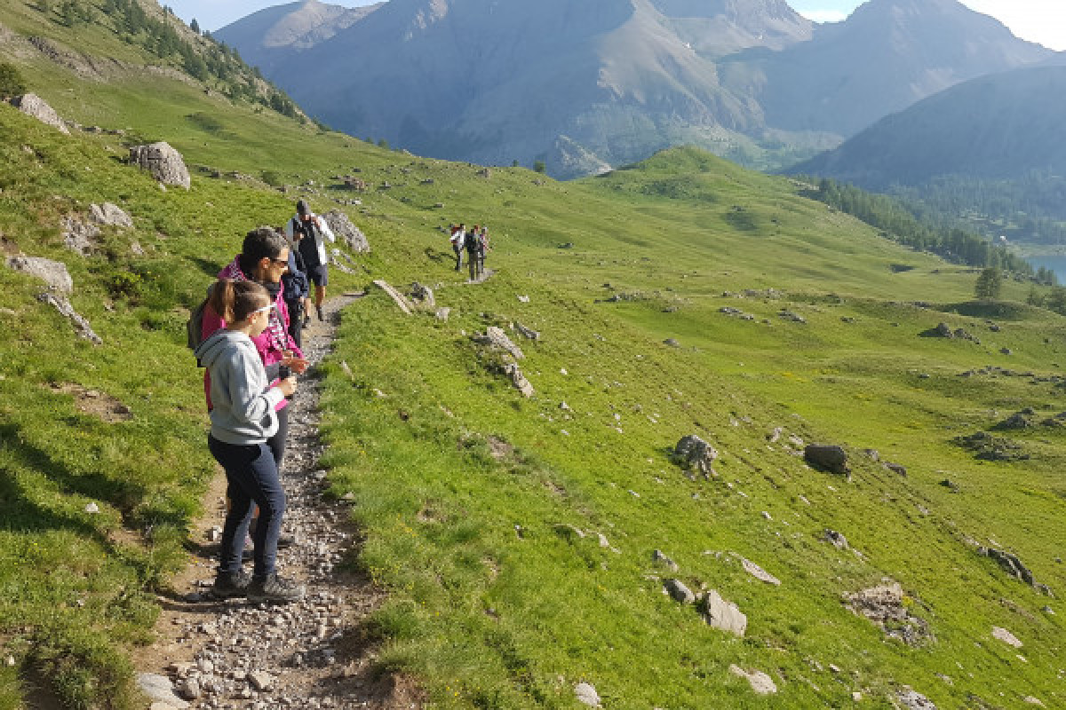 La Vie des marmottes dans le Mercantour - Bonjour Fun