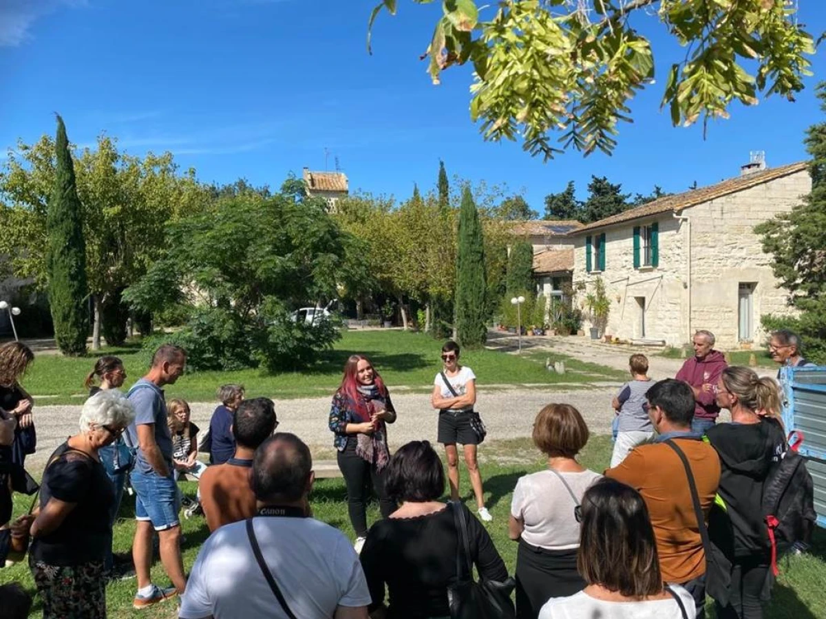 Lavender and other fragrant plants guided tour (ENGLISH TOUR) - Bonjour Fun