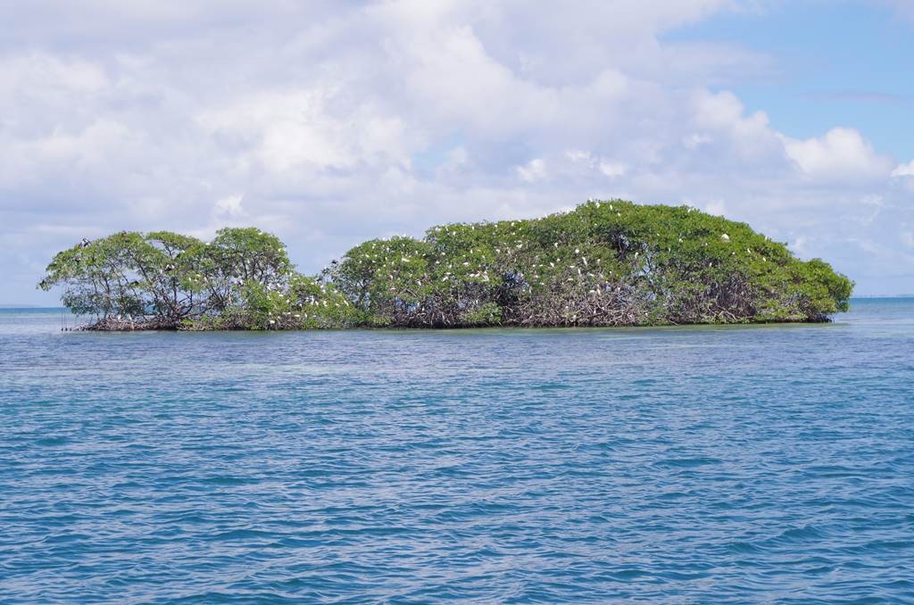 LE CEROLA - Bonjour Fun