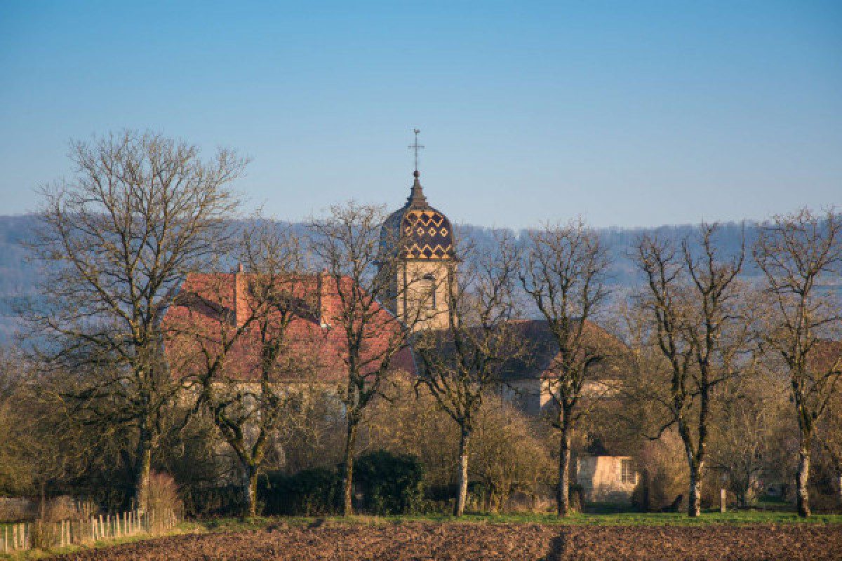 LE LONG DE LA VOIE ROMAINE, À OSSELLE - Bonjour Fun