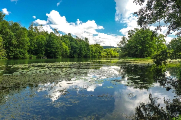 Le marais de Saône - Bonjour Fun