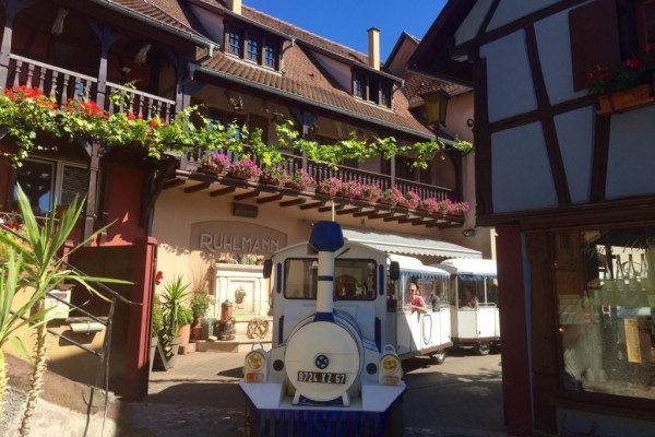 Le Petit Train du Vigneron - Bonjour Fun
