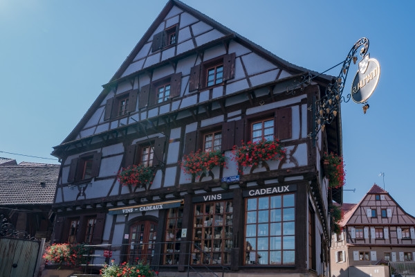 Le Petit Train du Vigneron - Bonjour Fun