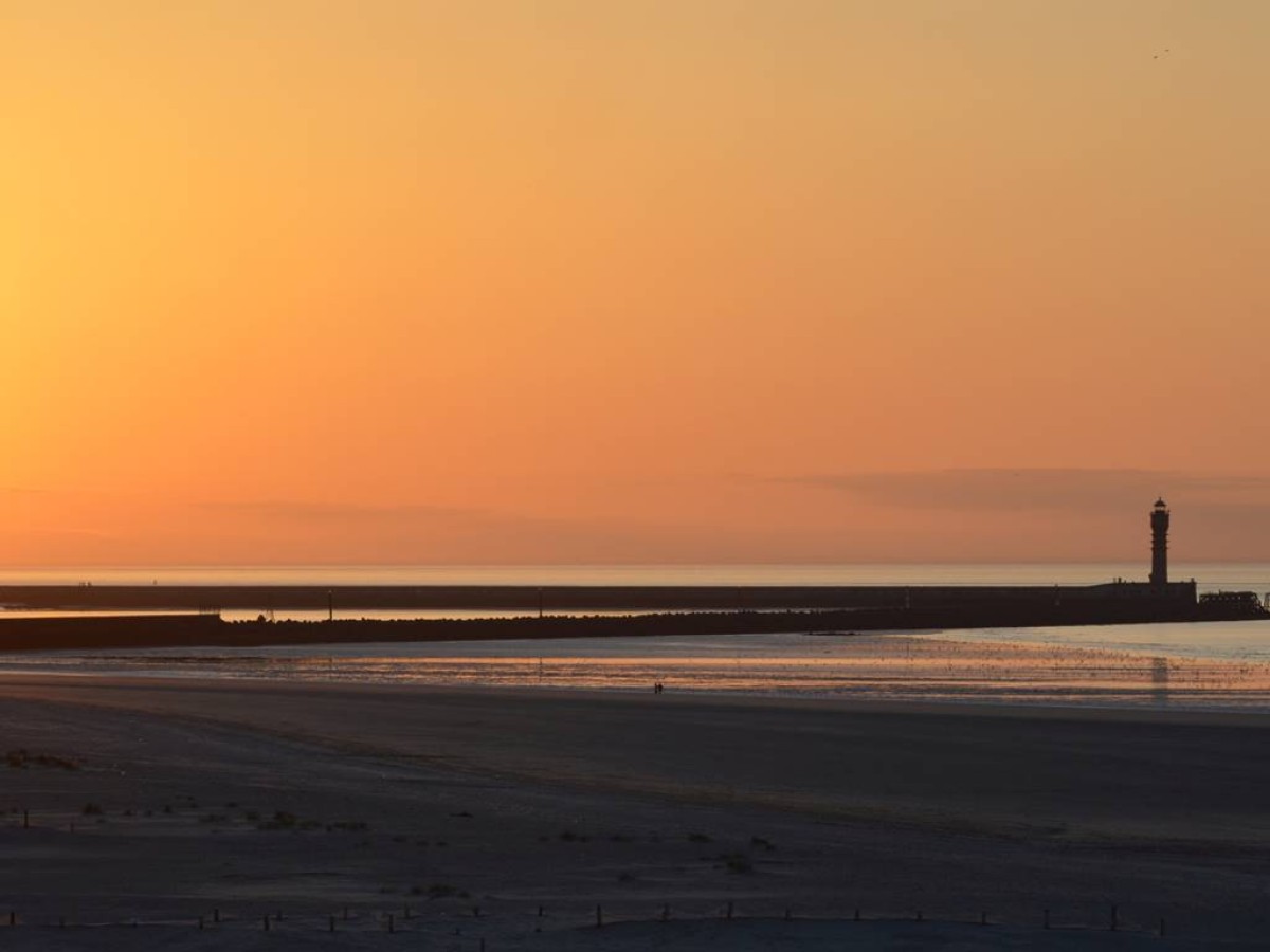 Le Transat Bleu - Bonjour Fun