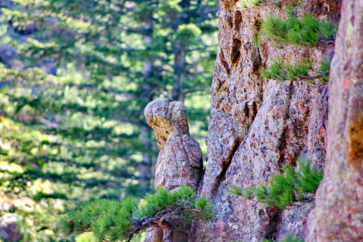 LE TROU DE LA BOMBE - MASSIF DE BAVELLA (Randonnée pédestre) - Bonjour Fun