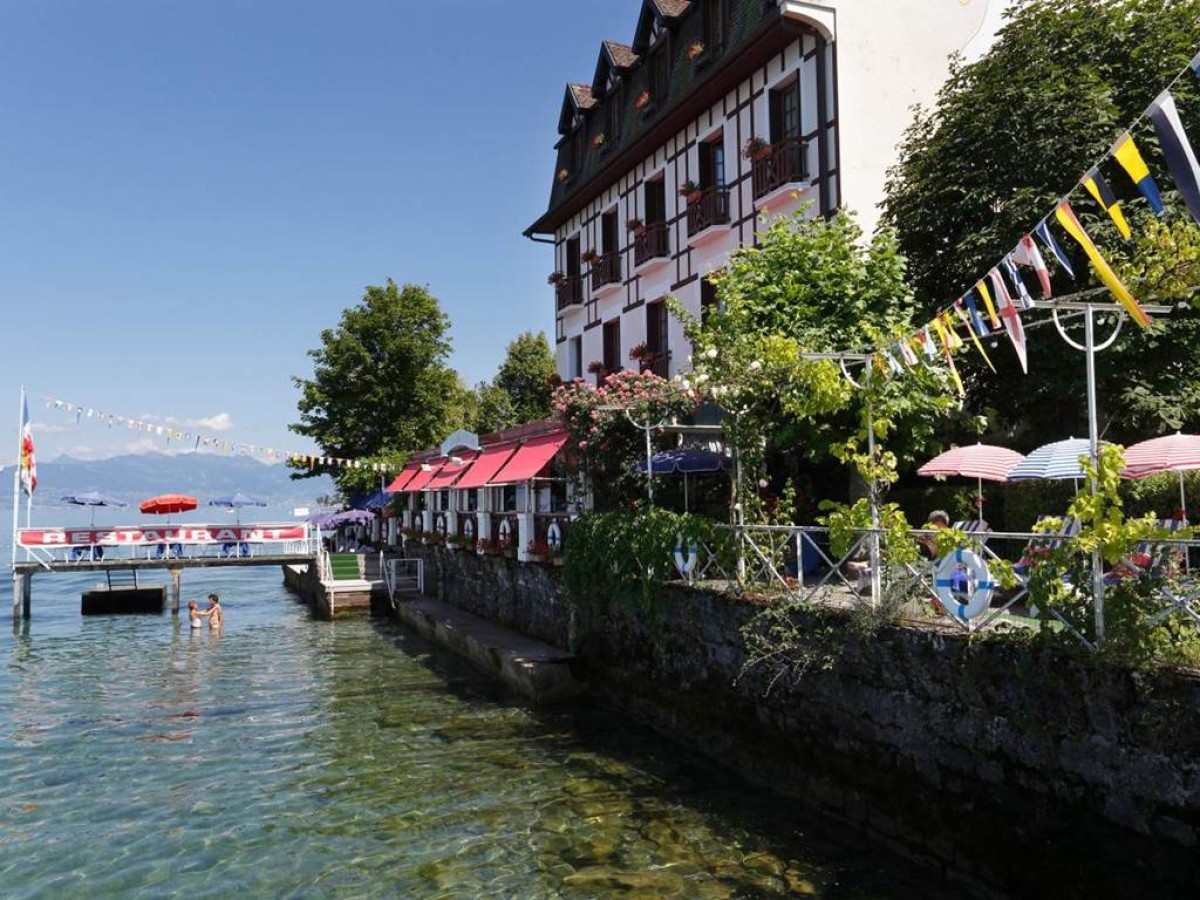 Les Cygnes - Bonjour Fun