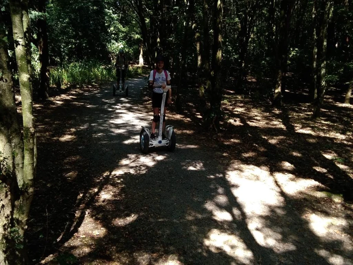 Les mercredis " GYRO JEUNES" au parc des Gayeulles. - Bonjour Fun