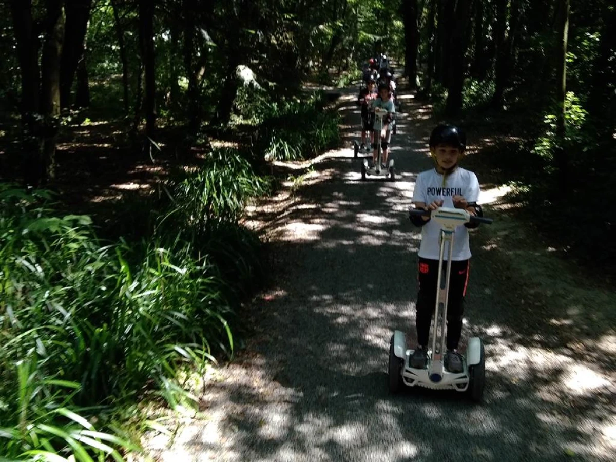 Les mercredis " GYRO JEUNES" au parc des Gayeulles. - Bonjour Fun