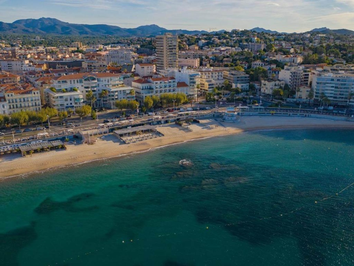 Les Palmiers - Bonjour Fun