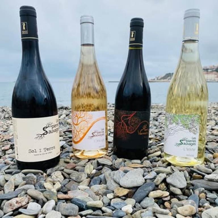 Les Pierres Sauvages - Bonjour Fun