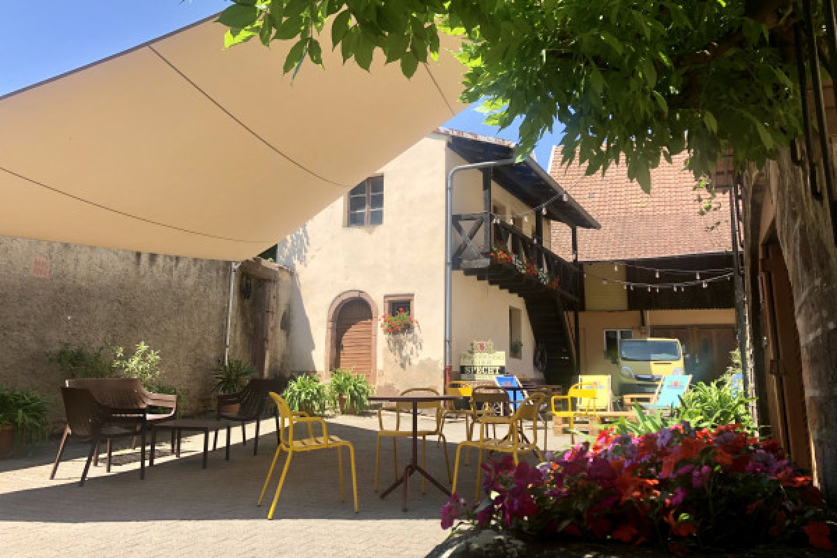 Les sens en folie : le vin à travers l'odorat et le goût - Bonjour Fun