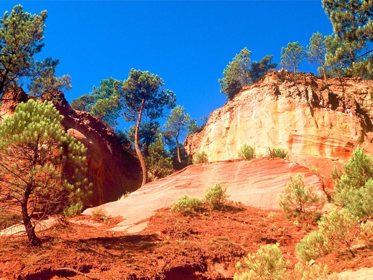 LOCATION 5 JOURS - Bonjour Fun