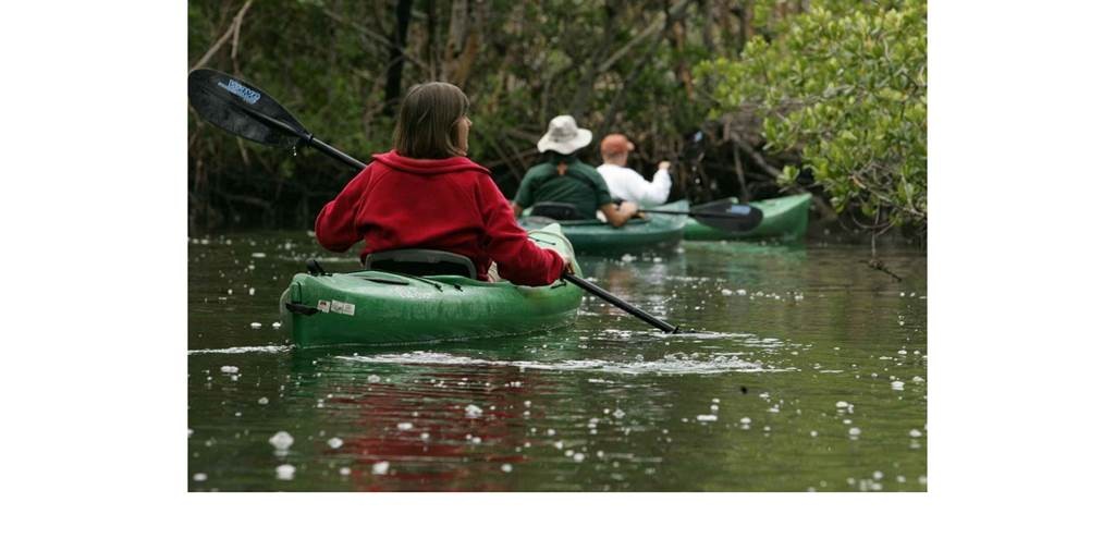 Location barque à rames 4 places - 2H - Bonjour Fun