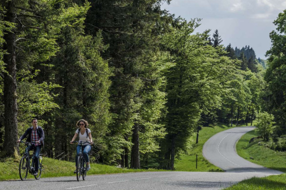 Location de vélos à assistance électrique - Bonjour Fun