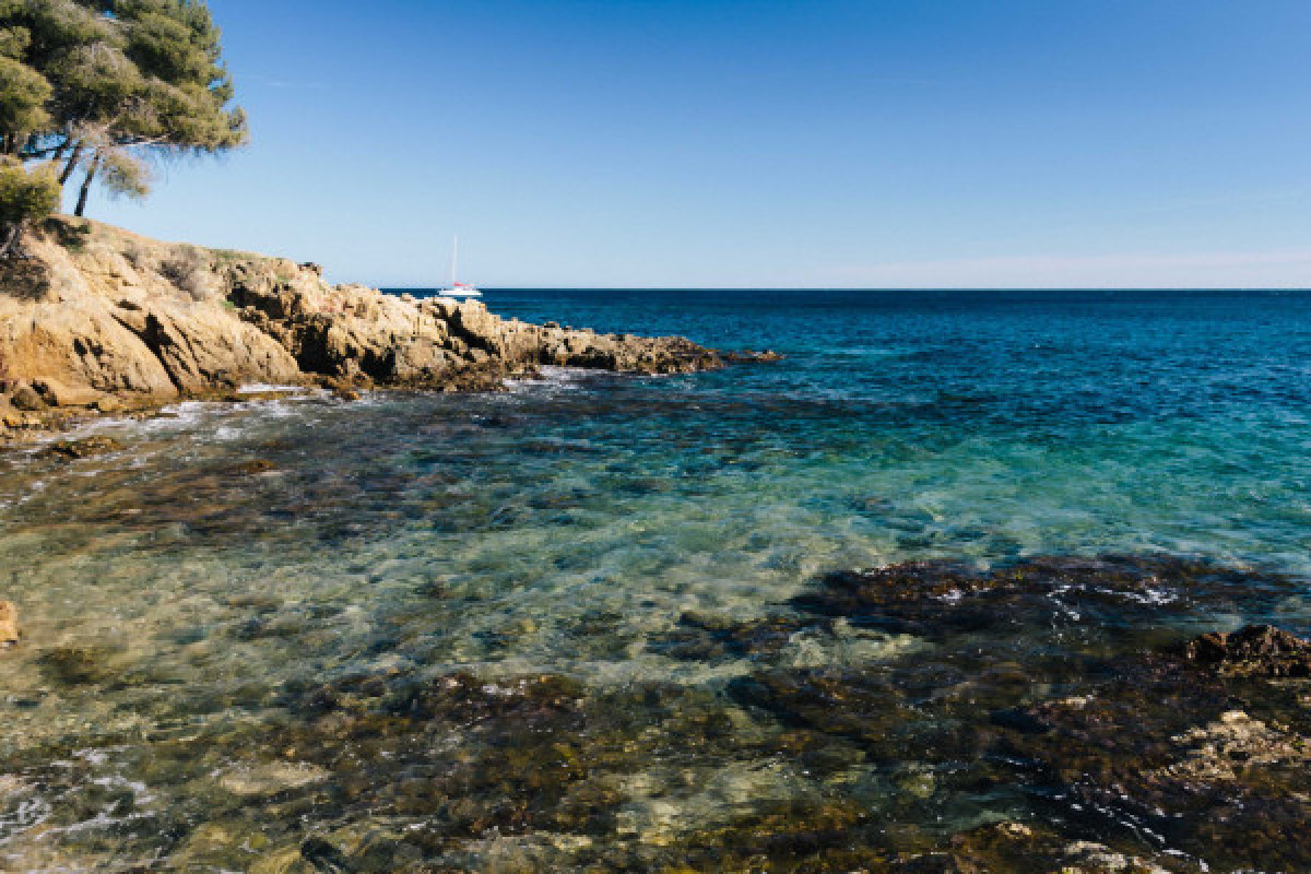 Location Kayak en mer - Les Issambres - Bonjour Fun