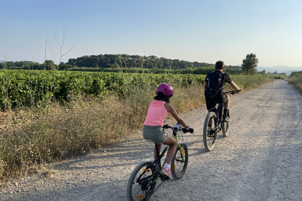 Location Vélo (VTTAE) + dégustation de vin - Bonjour Fun