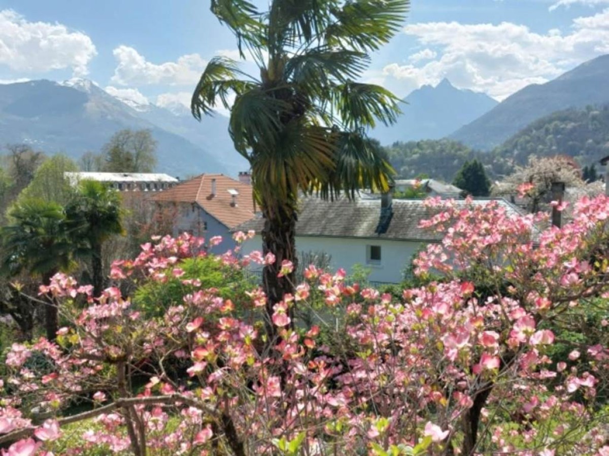 Logis Hôtel Beau Site - Bonjour Fun
