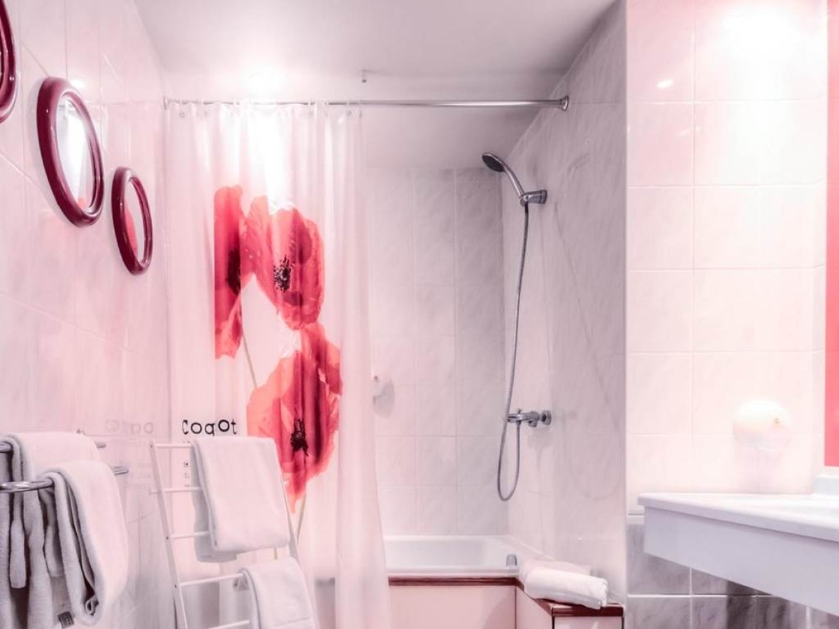 Logis Hôtel Restaurant Des Acacias Lille Neuville  - Bonjour Fun