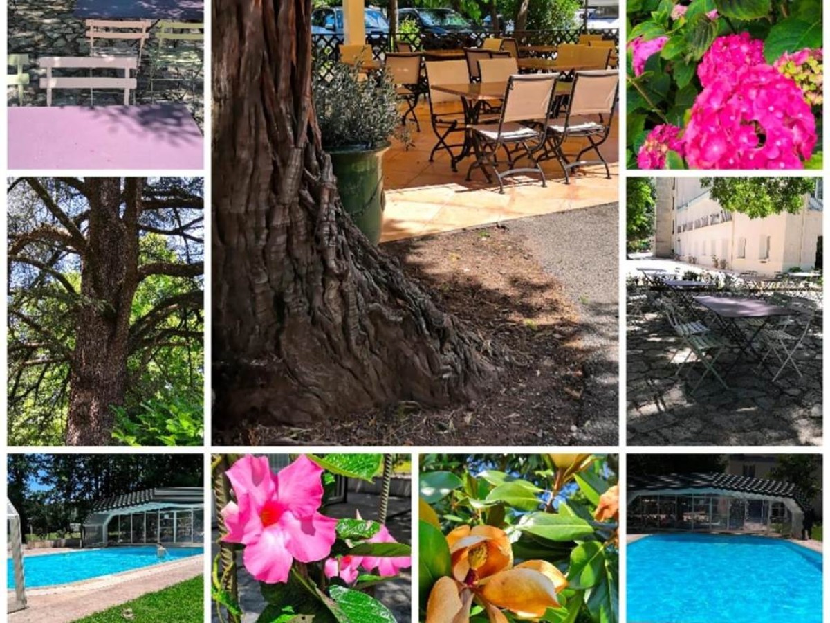 Logis Hôtel Restaurant Les Cèdres - Bonjour Fun