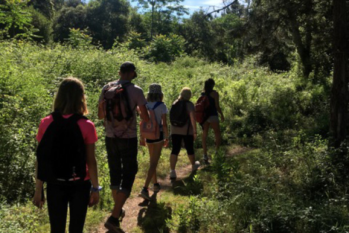 Marche Afghane - Bonjour Fun