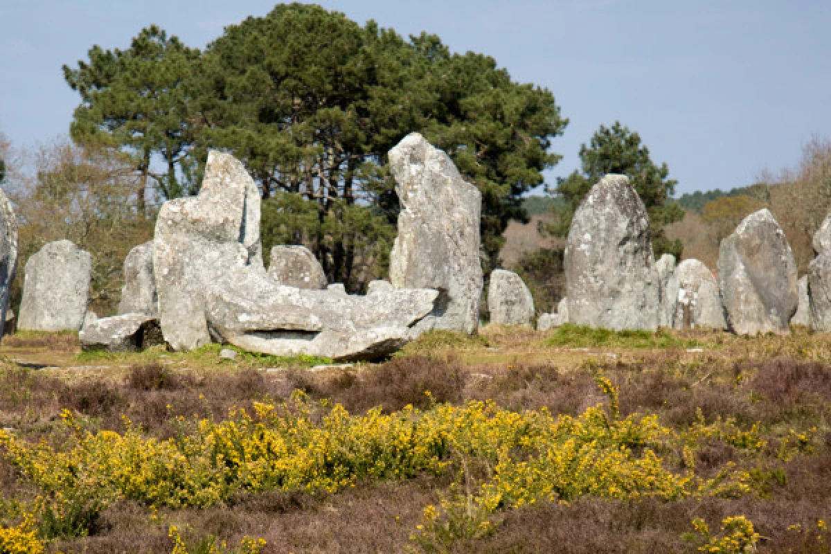 Menhirs tour en petit train - Bonjour Fun