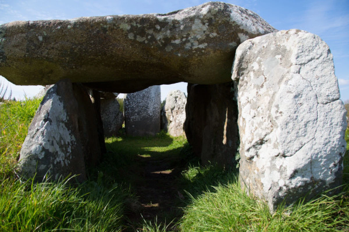 Menhirs tour en petit train - Bonjour Fun