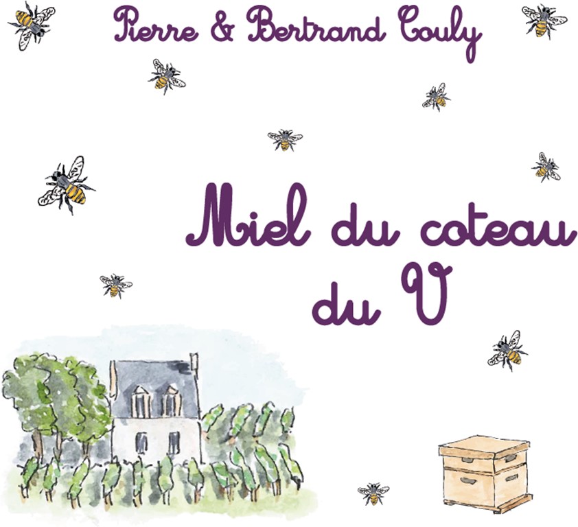 MIEL DU COTEAU DU  V - Bonjour Fun