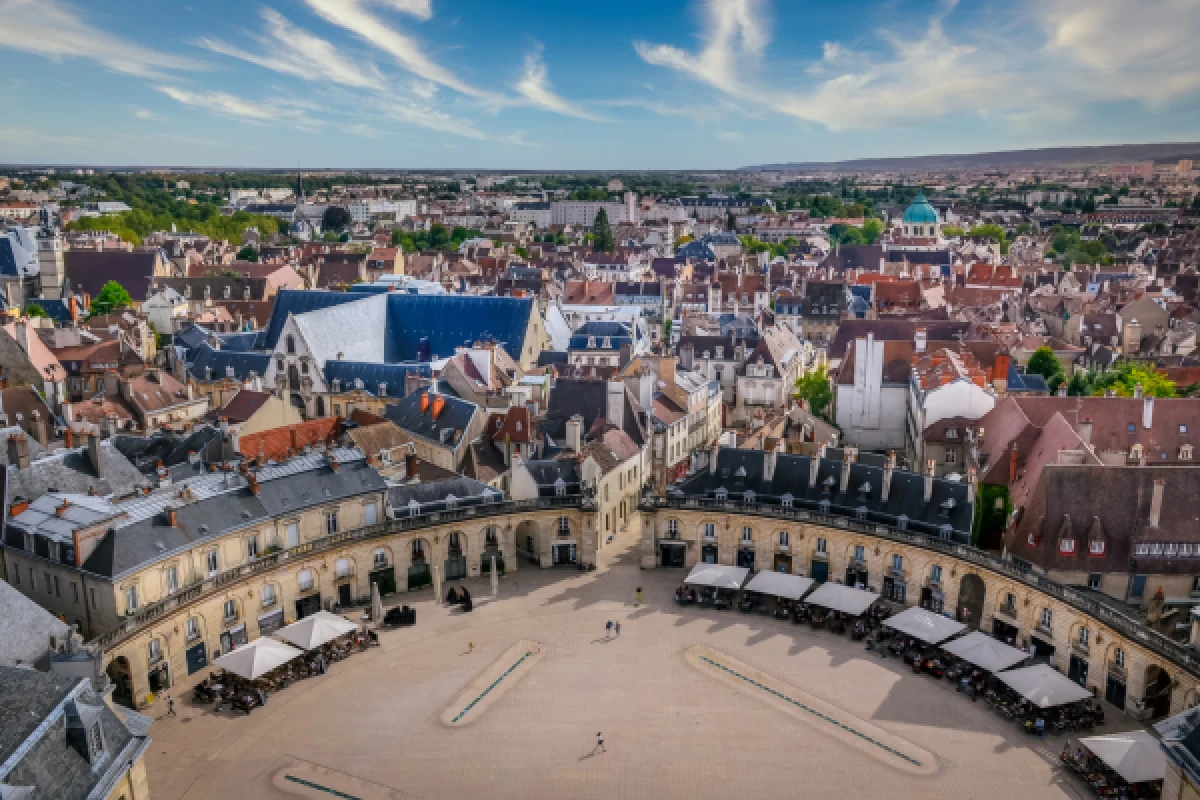 MISSION ANNIVERSAIRE BIRTHDAY DIJON - Bonjour Fun