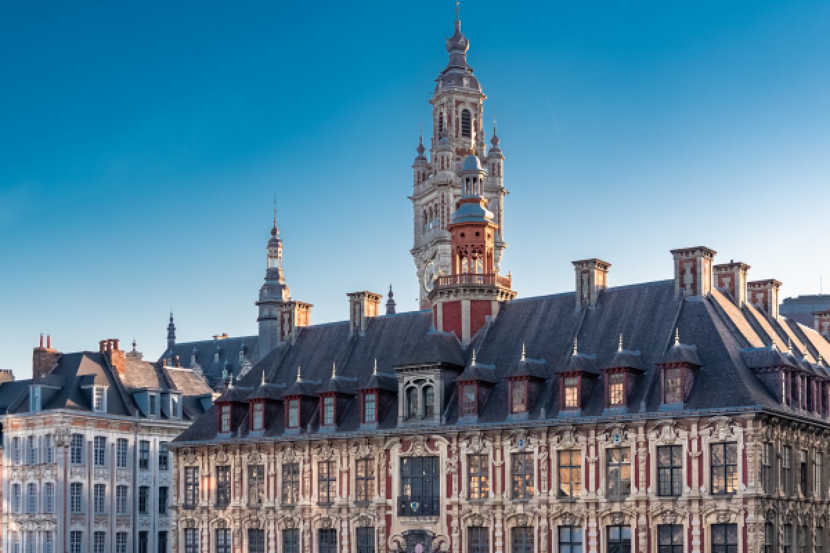 MISSION ANNIVERSAIRE BIRTHDAY LILLE - Bonjour Fun